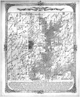 Township 4 North Range 6 West, Madison County 1873 Microfilm